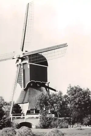 Bergambacht Wipmolen de Bachtenaar Molen 1977 Krimpenerwaard HC49447 Nowość