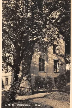 Popularny Arkel J.H. de Pinksterbloem Jeugdherberg 1937 Molenlanden Alblasserwaard HC49417