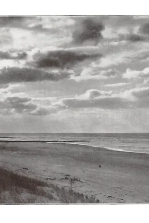 's-Gravenhage Het Stille strand Gemakkelijk bereikbaar uit het nieuwe stadsdeel HC49261 Tylko dziś