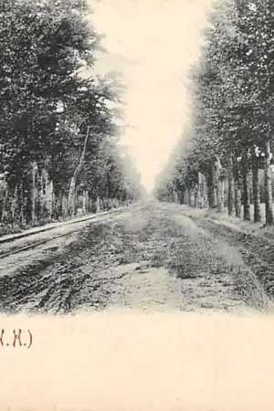 Laren (NH) Weg naar Blaricum Groet uit Laren (N.H.) Kleinrondstempel Laren N.H. 29 AUG 02 HC49183 Oryginalny