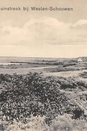 Premium Westerschouwen Panorama in de duinstreek bij Westen-Schouwen Schouwen-Duiveland Zeeland HC48935