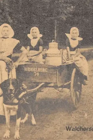 Najlepsza cena Walcheren Walchersche Melkmeisjes met hondenkar Middelburg 74 Klederdracht Vintage HC48835