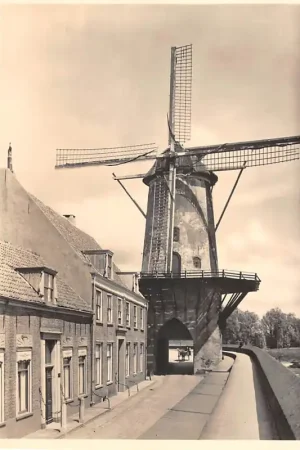 Wijk bij Duurstede Type Walmolen Molen 5 cents kaart Molenserie Nr. 16 HC48623 Premium