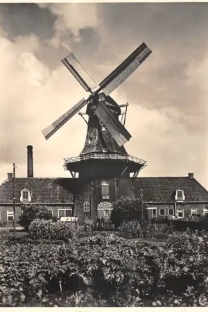 Roderwolde Roden Drenthe Oliemolen Achtkante Bovenkruier met stelling Molen 5 cents kaart Molenserie Nr. 22 HC48621 Nowość