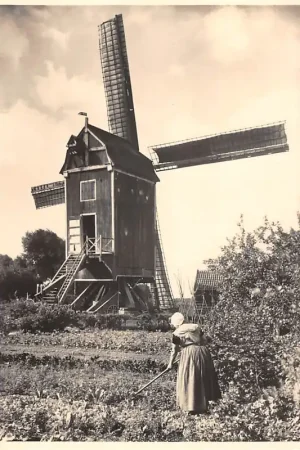 Wyprzedaż Kruiningen Zuid-Beveland Opstaande Standaardmolen Molen Klederdracht 5 cents kaart Molenserie Nr. 14 HC48618