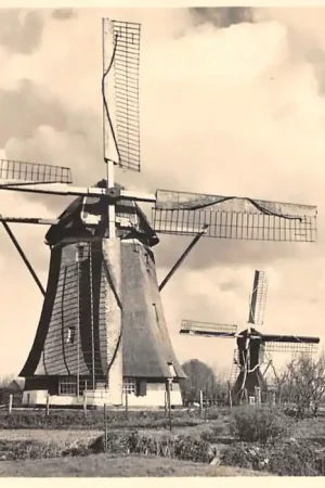 Wyprzedaż Zuilen Utrecht Watermolens Links een achtkante Bovenkruier, rechts een wipwatermolen, beide voorzien van stroomlijnwerken volgens systeem Dekker 5 cents kaart Molenserie Nr. 18 Molen HC48614