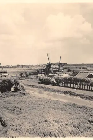 Ekspresowa dostawa Alblasserwaard Molen panorama Bovenkruiers Nieuw-Lekkerland 5 cents kaart Molenserie Nr. 5 HC48612