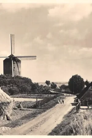 Zeddam (GLD.) De Kruitmolen Toren molen 5 cents kaart Molenserie Nr. 4 HC48611 Ekspresowa dostawa