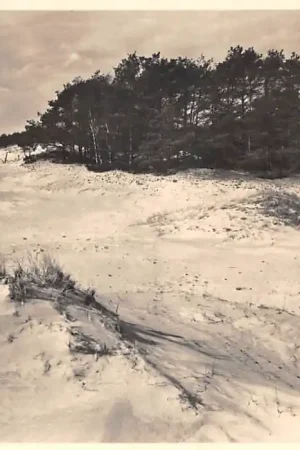 Hoenderloo (GLD) Het Nationale Park de Hoge Veluwe met bosch en zandverstuivingen Vijf cents Landschapserie Nr. 1 HC48602 Popularny