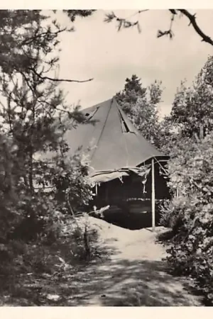 Darmowa dostawa Hoenderlo Kampeercentrum De Woeste Hoogte Tentenkamp (heren - jongens) 1955 Camping Veluwe HC48531