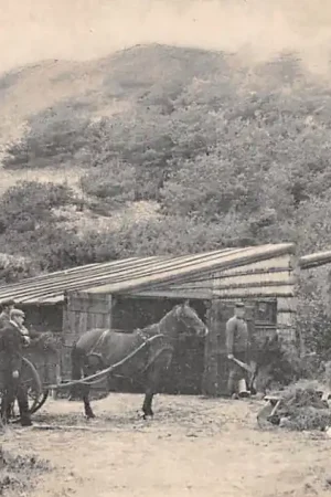 Wysoka jakość Bergen (NH) Klein Zwitserland\\