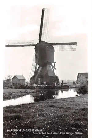 Wyprzedaż Hardinxveld - Giessendam Diep in het land staat onze laatste molen HC48408