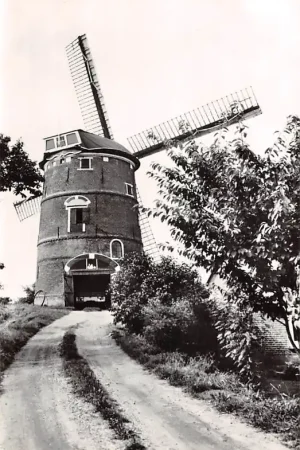 Lienden Molen de Zwaan Buren (GD) Betuwe HC48405 Oferta limitowana
