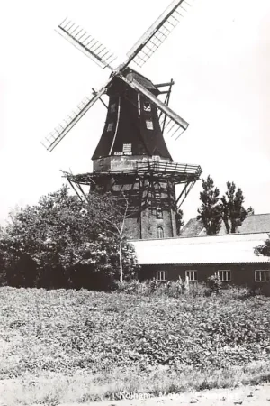Tani Kolham Molen Entreprise Midden - Groningen HC48404