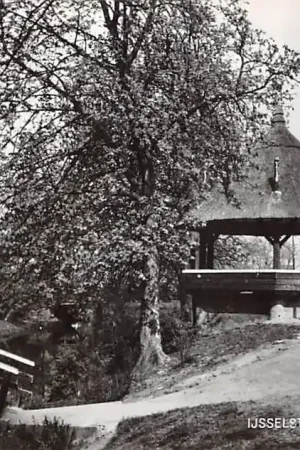IJsselstein Plantsoen met Hervomde Kerk 1966 HC48383 Kup teraz