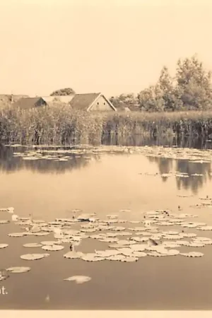 Ostatnia szansa Nieuwkoop Plasgezicht Type fotokaart HC48373