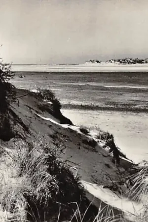 Autentyczny Texel De Slurfter Duinen strand en zee 1966 HC48344