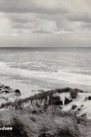 Texel Langs de Noordzee 1960 Duinen strand en zee HC48345 Ostatnia szansa