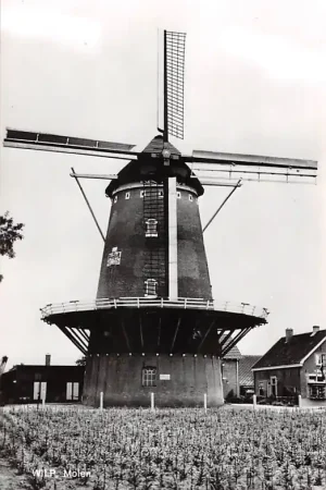 Ostatnia szansa Wilp Molen Voorst HC48295