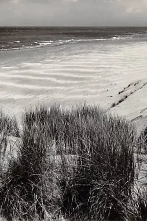 Bergen (NH) aan Zee Zee en Duin 1961 HC48078 Premium