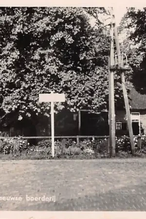 Premium Laaghalen Drenthe 17e eeuwse boerderij 1953 HC47963