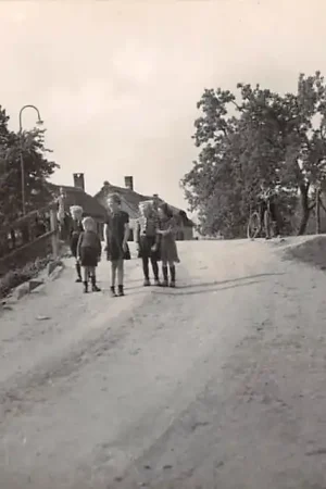Popularny Acquoi Stoep Lingedijk 1958 Type fotokaart West Betuwe HC47914