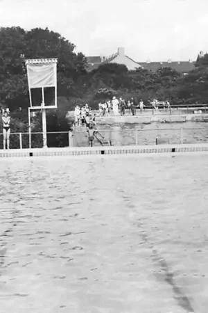 Darmowa dostawa Bodegraven Zwembad 1951 HC1268