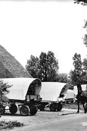 Zamów teraz Orvelte Huifkar toerisme Paard en wagen HC1230