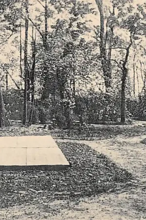 Tylko dziś Bellingwolde Tuinaanzicht Hotel Reiderland van Alb. Smid HC833