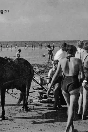 Scheveningen Groeten uitStrand Paard en wagen en badgasten HC379 Zwrot pieniędzy