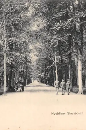 Assen Hoofdlaan Stadsbosch HC57701 Szybka dostawa