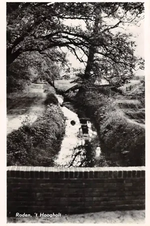 Roden 't Hoogholt Drenthe1955 HC56758 Bezpieczna płatność