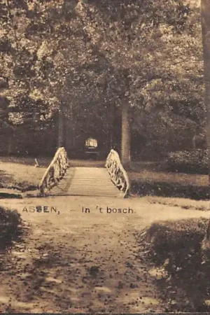 Assen In 't Bosch Houten bruggetje 1921 Nauta 8865 HC60202 Promocja
