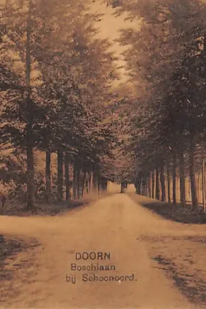 Premium Doorn Boschlaan bij Schoonoord HC54256