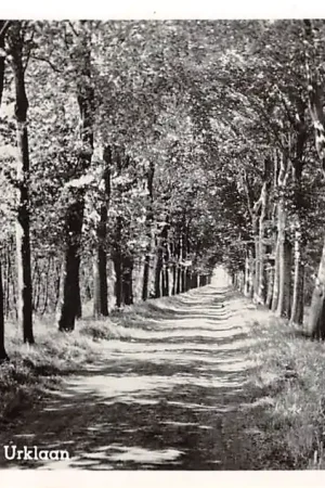 Kolderveen Thijs van Urklaan 1956 Meppel Drenthe HC53737 (kopie) Zamów teraz