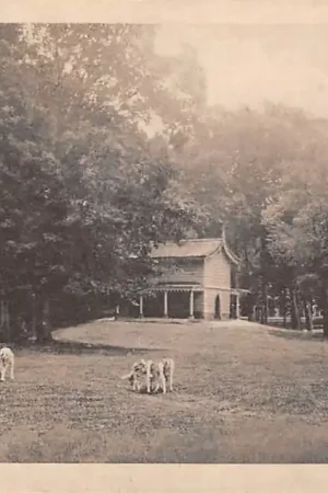 Zwrot pieniędzy Assen Hertenkamp 1918 HC52963