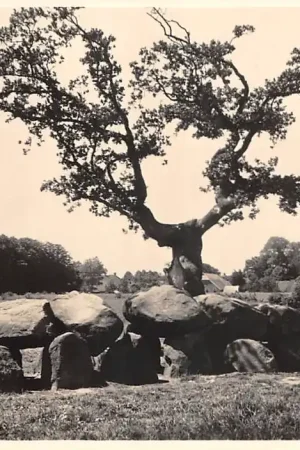 Rolde Drenthe Hunebed ( 2000 v. Chr.) 5 Cents Serie VIII Nr. 4 HC48628 Nowość