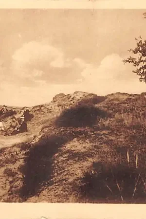 Zamów teraz Mooi Drenthe Drouwenerzand Borger - Odoorn HC47955