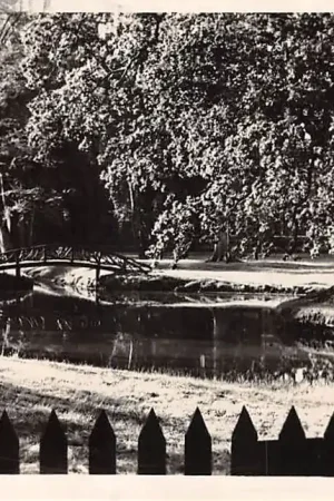 Assen Hertenkamp met houten' brug 1952 HC46420 Oryginalny
