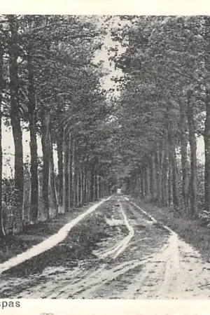 Sinderen De Kerspas Oude IJsselstreek Achterhoek HC46140 Wysoka jakość