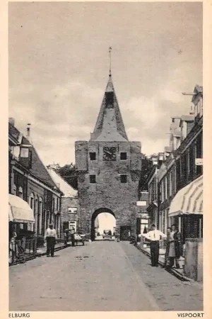 Elsburg Vispoort HC44828 Rabat