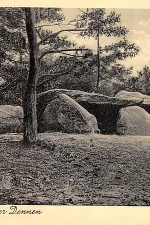 Popularny Emmen Hunebed in de Emmer Dennen Drenthe HC43957