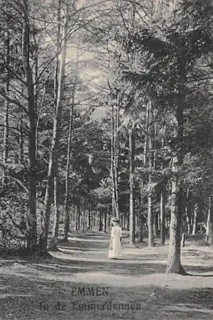 Wyprzedaż Emmen In de Emmerduinen 1912 Drenthe HC43956