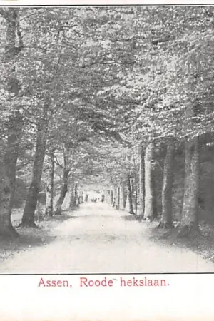 Assen Roode Hekslaan 1907 HC42940 Ekspresowa dostawa