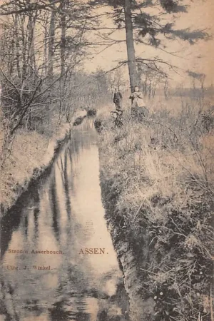 Assen Stroom Asserbosch 1910 Tulp HC41485 Zwrot pieniędzy