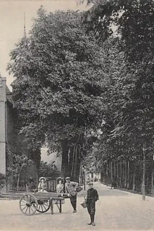 Assen Paraleistraat HC41360 Darmowa dostawa