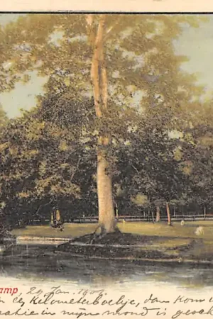 Assen Hertenkamp 1901 HC37540 Darmowa dostawa