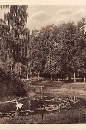 Promocja Assen Nieuwe Vijver Jaren 30 HC29625