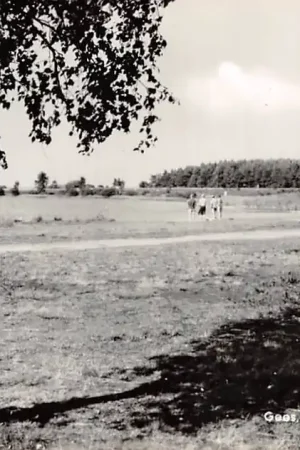 Kup teraz Gees Staatsbos Meekelermeer 1966 Coevorden Drenthe HC27856