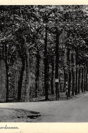 Emmen Ingang Emmerdennen 1939 HC31259 Promocja